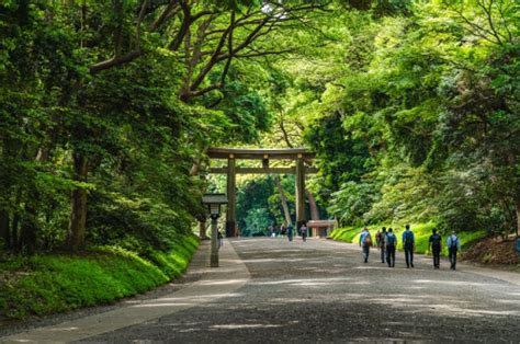 東京風水|最強！パワースポット巡りin東京｜日本交通東京観光 